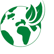World-class cleaning experience World-class cleaning experience